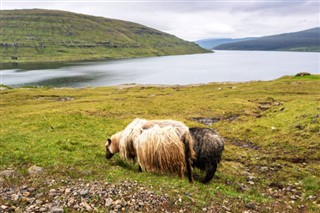 Faroe Adası Hava tahmini
