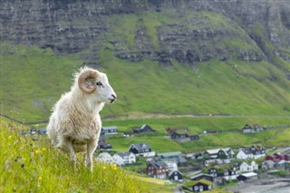 Faroe Island weather forecast