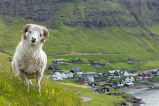Faroe Adası Hava tahmini