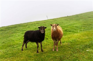 Faroe Adası hava tahmini