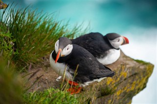 Faroe Island weather forecast