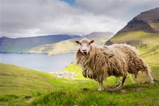 Faroe Isola previsioni del tempo