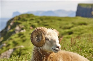 Faroe Adası hava tahmini