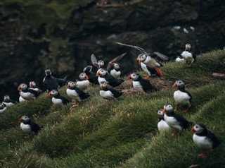 Îles Féroé prévisions météorologiques