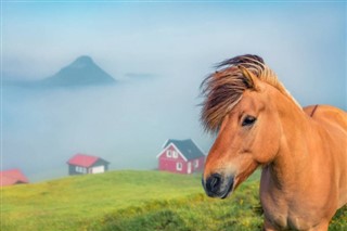 Faroe Adası hava tahmini