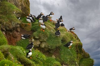 Faroe Adası hava tahmini
