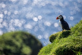 Faroe Adası hava tahmini