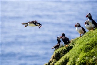 Faroe Adası hava tahmini
