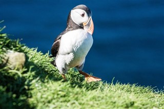 Faroe Adası Hava tahmini