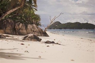 Fiji vejrudsigt