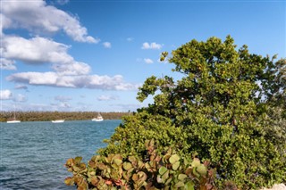 Fiji vejrudsigt