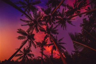 Fiji hava tahmini