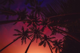 Fiji vejrudsigt
