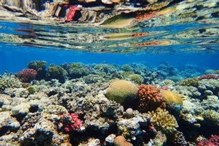 Fiji hava tahmini