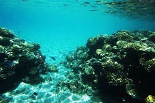 Fiji previsioni del tempo