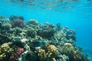 Fiji hava tahmini