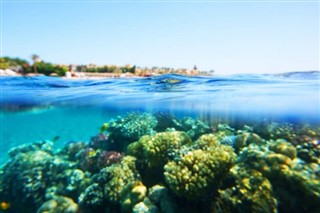 Fiji weather forecast