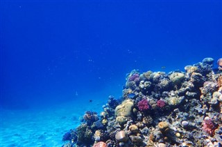 Fiji pronóstico del tiempo