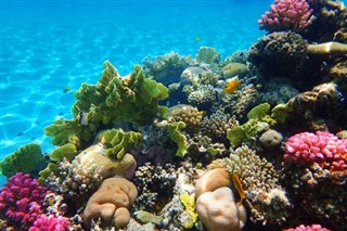 Fiji previsioni del tempo