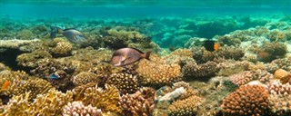 Fiji pronóstico del tiempo