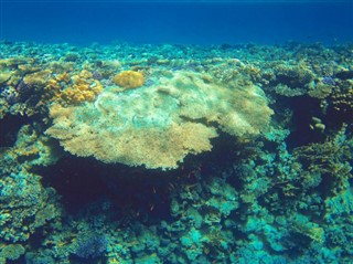 Fiji hava tahmini