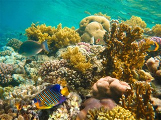 Fiji hava tahmini