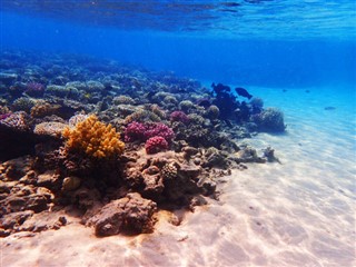 Fiji vejrudsigt