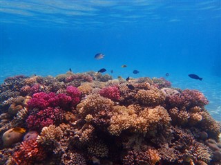 Fiji hava tahmini