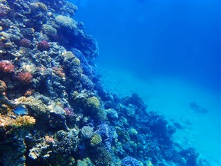 Fiji vejrudsigt