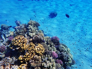 Fiji hava tahmini