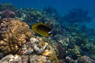 Fiji hava tahmini