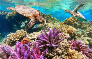 Fiji hava tahmini