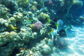 Fiji hava tahmini