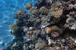 Fiji hava tahmini