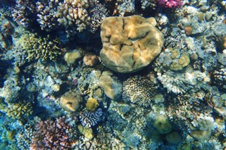 Fiji időjárás-jelentés