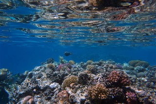 Fiji previsioni del tempo