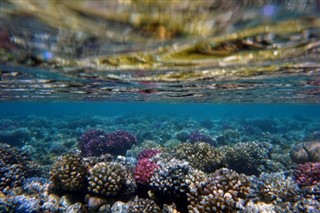 Fiji Hava tahmini