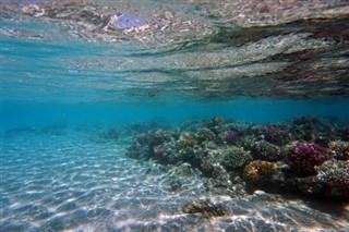 Fiji vejrudsigt