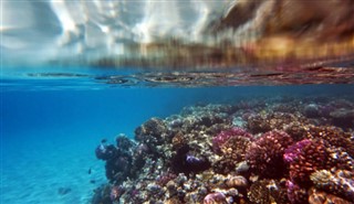 Fiji hava tahmini