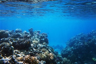 Fiji hava tahmini
