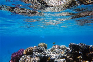 Fiji hava tahmini