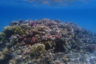 Fiji hava tahmini