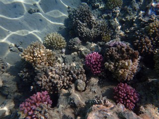 Fiji hava tahmini