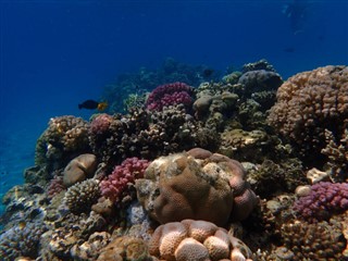Fiji Hava tahmini