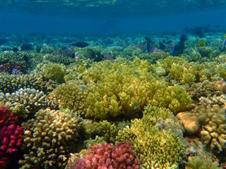 Fiji Hava tahmini