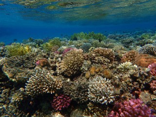 Fiji hava tahmini