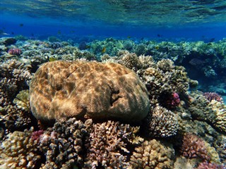 Fiji hava tahmini