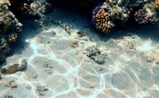 Fiji hava tahmini