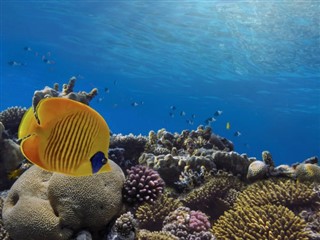 Fiji hava tahmini