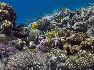 Fiji hava tahmini